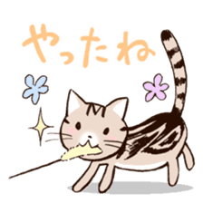 Mocha of american shorthair sticker #10253920