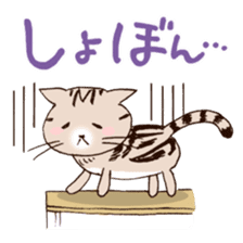 Mocha of american shorthair sticker #10253921