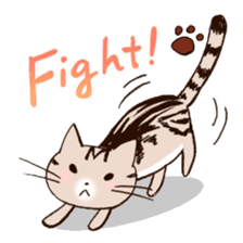 Mocha of american shorthair sticker #10253922