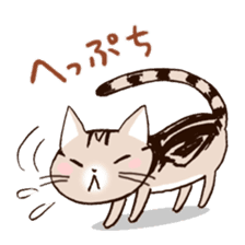 Mocha of american shorthair sticker #10253927