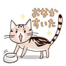 Mocha of american shorthair sticker #10253929