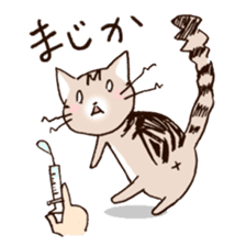Mocha of american shorthair sticker #10253932