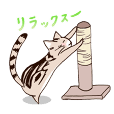 Mocha of american shorthair sticker #10253935