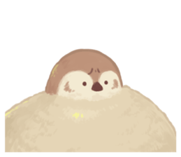 A Fat Sparrow sticker #10255125