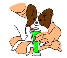 The Papillon & Uncle sticker #10256381