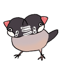 Powerful Java sparrow 2nd sticker #10256457