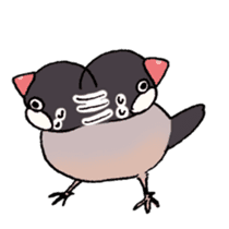 Powerful Java sparrow 2nd sticker #10256457
