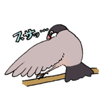 Powerful Java sparrow 2nd sticker #10256460