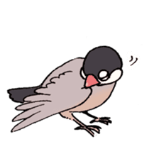 Powerful Java sparrow 2nd sticker #10256462