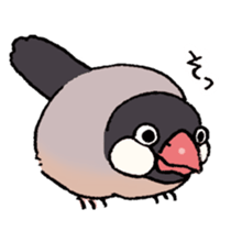 Powerful Java sparrow 2nd sticker #10256466