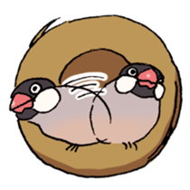 Powerful Java sparrow 2nd sticker #10256467