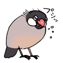 Powerful Java sparrow 2nd sticker #10256472