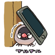 Powerful Java sparrow 2nd sticker #10256477