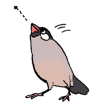Powerful Java sparrow 2nd sticker #10256480