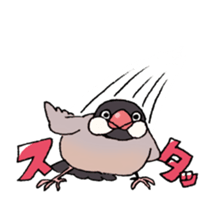 Powerful Java sparrow 2nd sticker #10256485