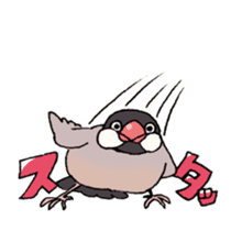 Powerful Java sparrow 2nd sticker #10256485