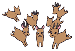 sikako-chan in Japan Nara-ken vol.3 sticker #10257061