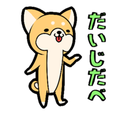 Tochigi accent sticker!!!! sticker #10257619