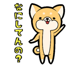 Tochigi accent sticker!!!! sticker #10257634