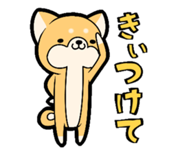 Tochigi accent sticker!!!! sticker #10257638