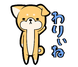 Tochigi accent sticker!!!! sticker #10257640