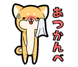 Tochigi accent sticker!!!! sticker #10257641