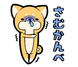 Tochigi accent sticker!!!! sticker #10257642