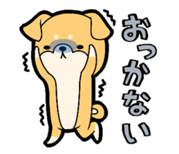 Tochigi accent sticker!!!! sticker #10257644