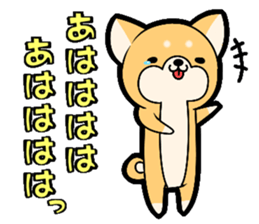 Tochigi accent sticker!!!! sticker #10257647