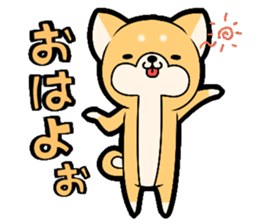 Tochigi accent sticker!!!! sticker #10257650