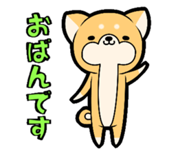 Tochigi accent sticker!!!! sticker #10257652