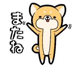 Tochigi accent sticker!!!! sticker #10257654