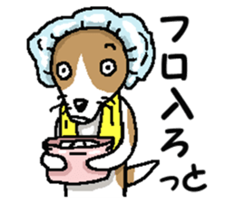 Jack dog 2 sticker #10258822