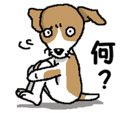 Jack dog 2 sticker #10258839