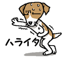 Jack dog 2 sticker #10258847