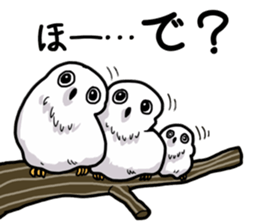 Cute animals of the Oji Zoo in Kobe city sticker #10260547