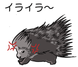 Cute animals of the Oji Zoo in Kobe city sticker #10260555