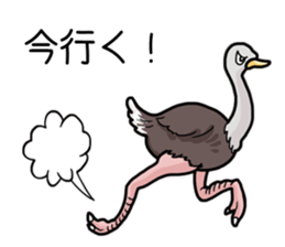 Cute animals of the Oji Zoo in Kobe city sticker #10260558