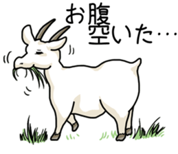 Cute animals of the Oji Zoo in Kobe city sticker #10260561