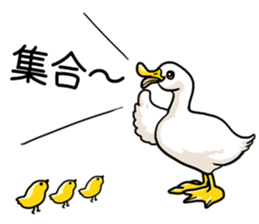 Cute animals of the Oji Zoo in Kobe city sticker #10260564