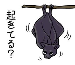 Cute animals of the Oji Zoo in Kobe city sticker #10260573