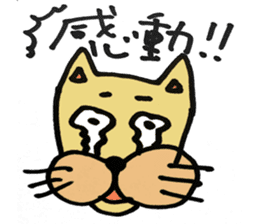 Expressive male cat. sticker #10260988
