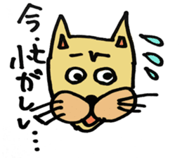 Expressive male cat. sticker #10260989