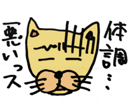 Expressive male cat. sticker #10261014