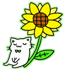 seven rainbow cats part4 sticker #10261519