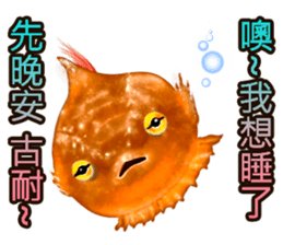 Golden fish sticker #10262903