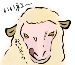 I love Sheep. sticker #10263981