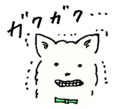 Chihuahua Brothers, Yon and Hachi sticker #10265165