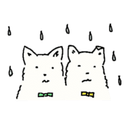 Chihuahua Brothers, Yon and Hachi sticker #10265169
