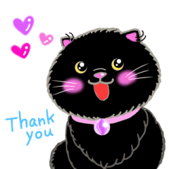 colorful color cats (English version)